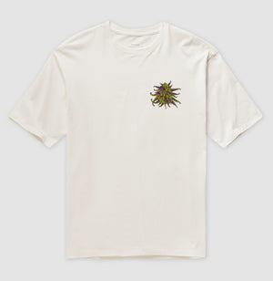 Flor Marijuana Oversized