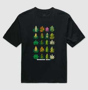 Variedades Oversized