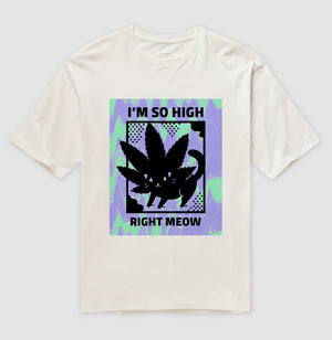 Right Meow Oversized