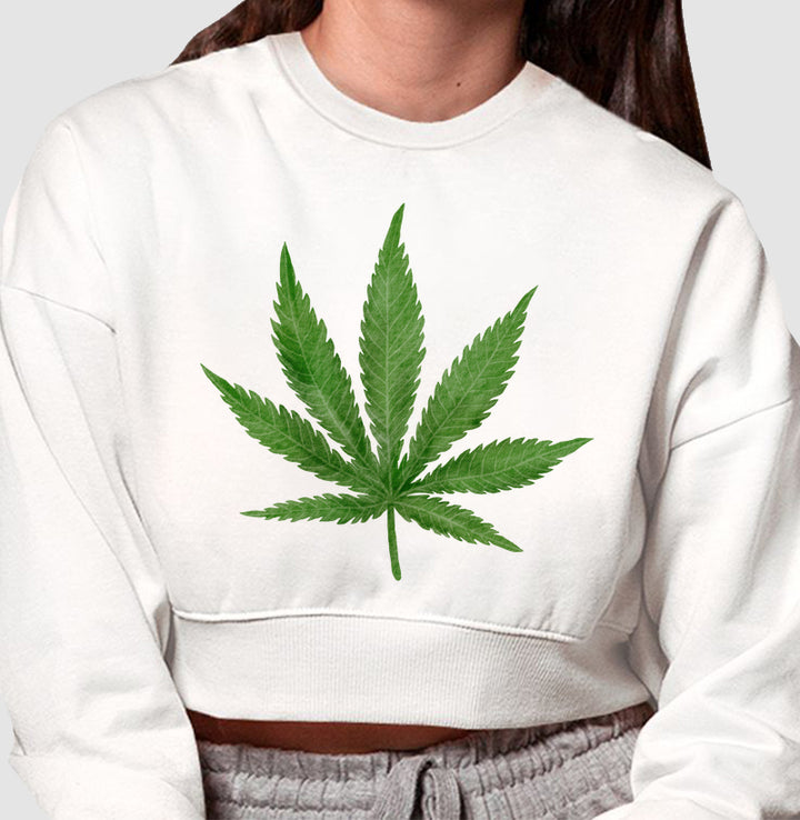 Folha Grande Moletom Cropped Premium