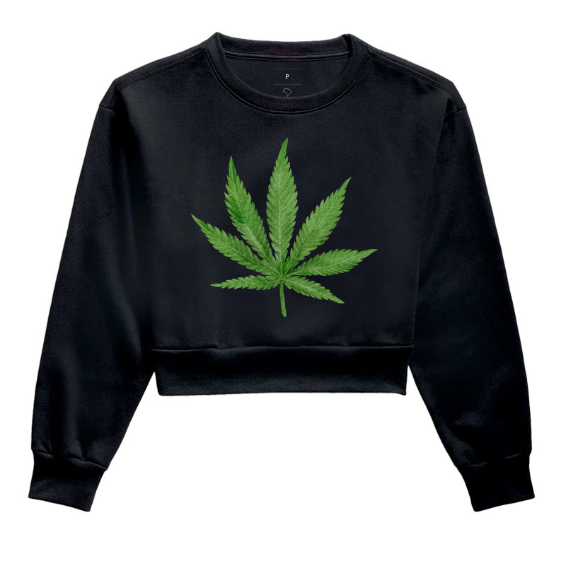 Folha Grande Moletom Cropped Premium