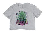 Alquimia Cannabica