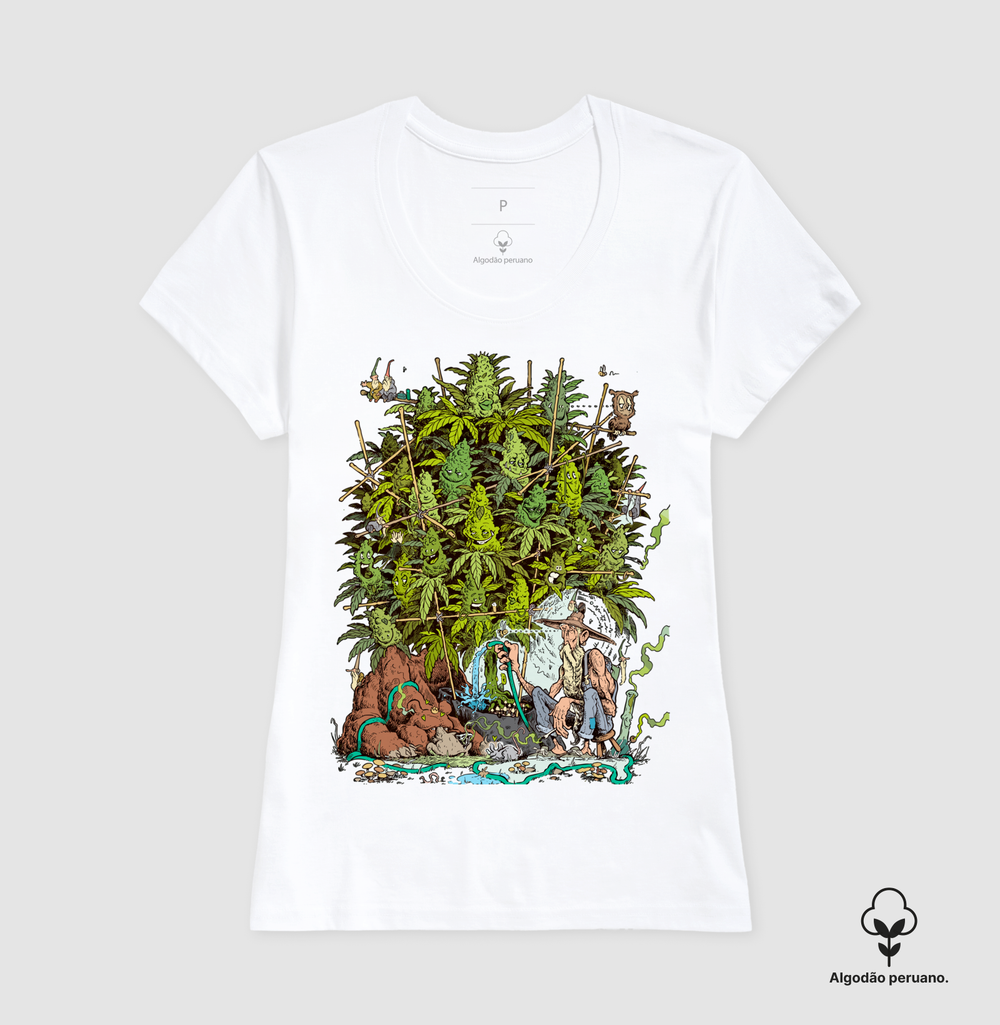 Cultivando Algodão Peruano