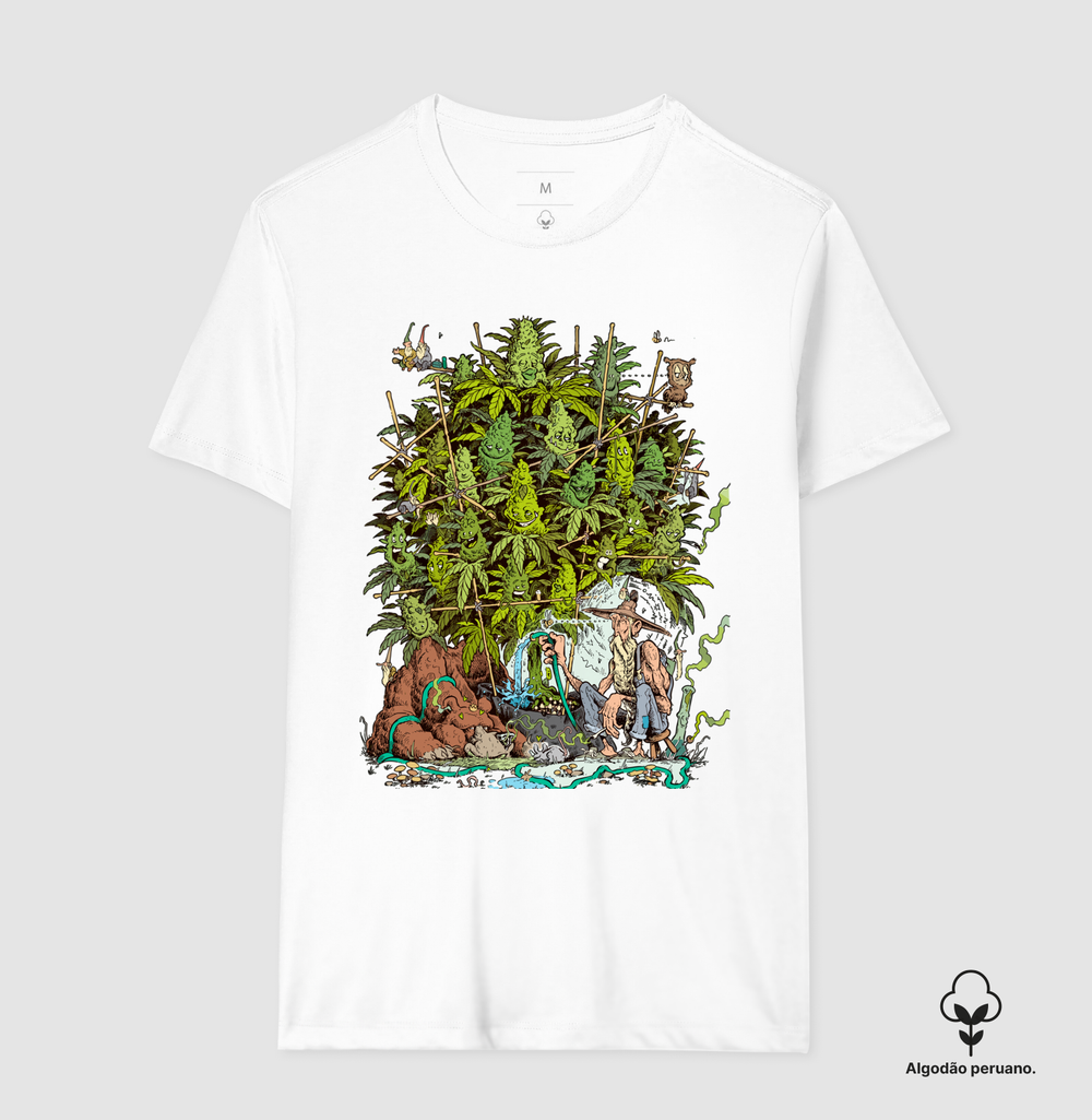 Cultivando Algodão Peruano